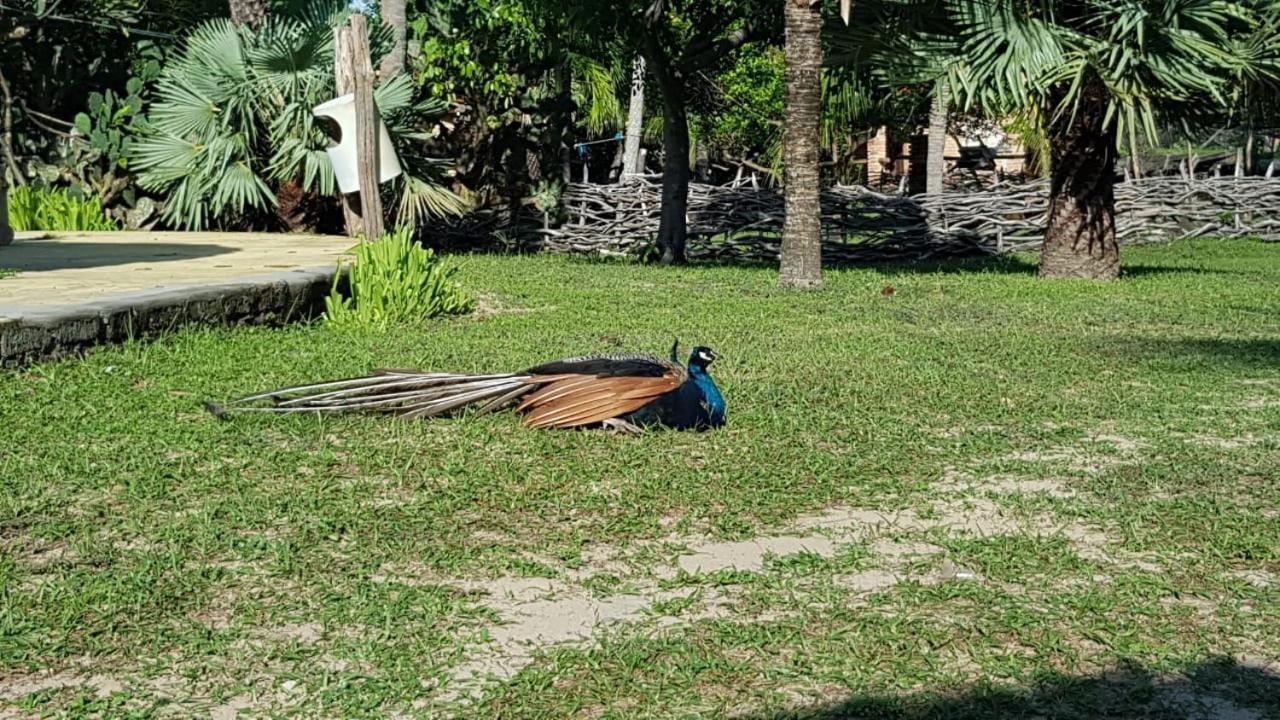 Rancho Do Buna Barreirinhas Exterior foto
